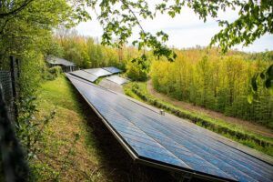 Solar Panels in Green forest